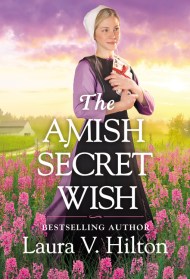 The Amish Secret Wish