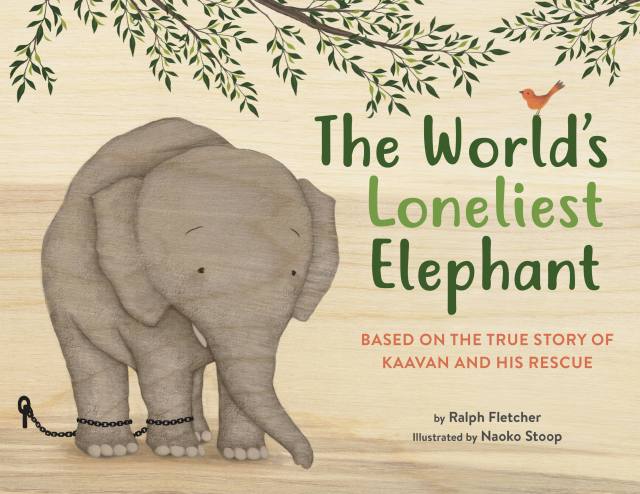 The World’s Loneliest Elephant