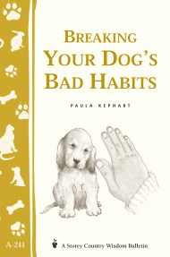 Breaking Your Dog's Bad Habits