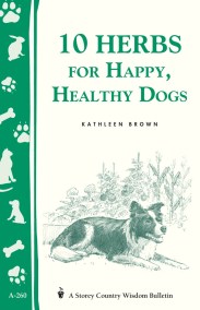 10 Herbs for Happy, Healthy Dogs